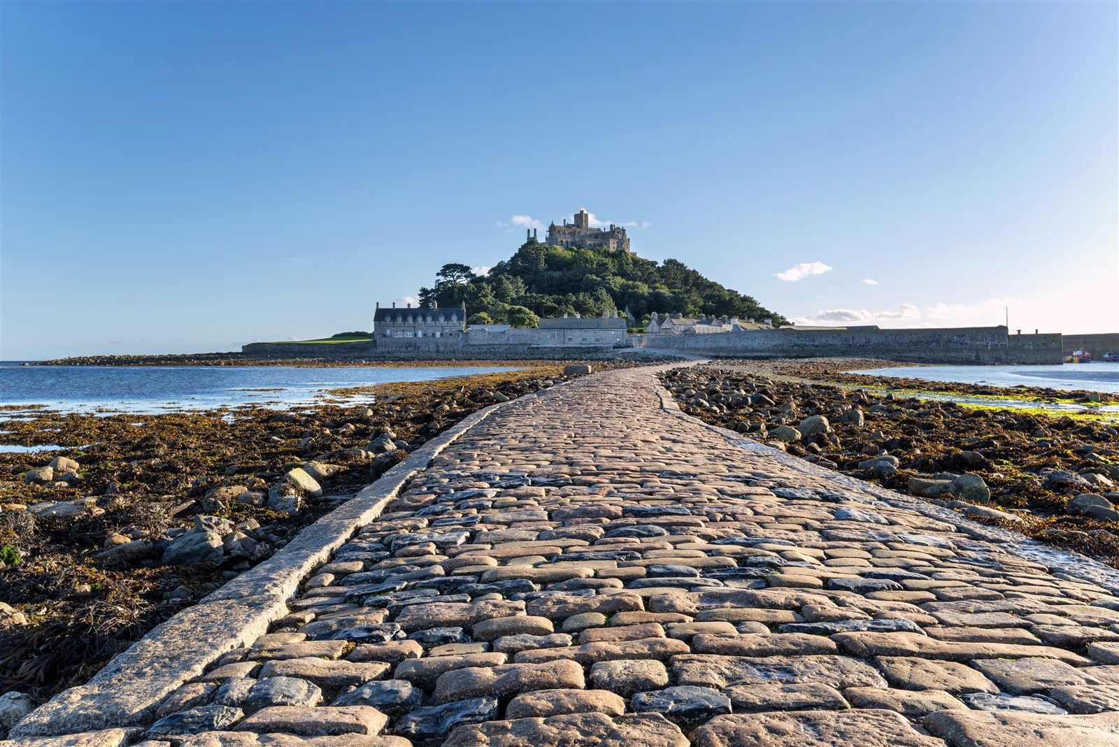 100+ campsites near St Michael's Mount, Cornwall