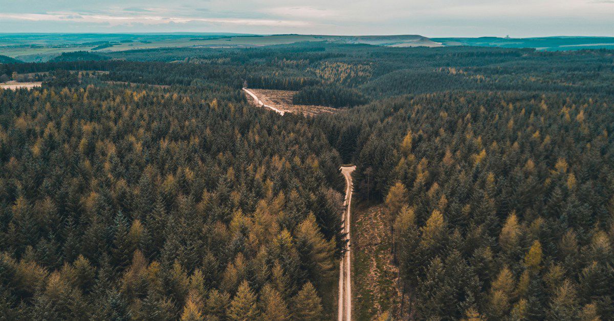 70 Campsites Near Dalby Forest North York Moors