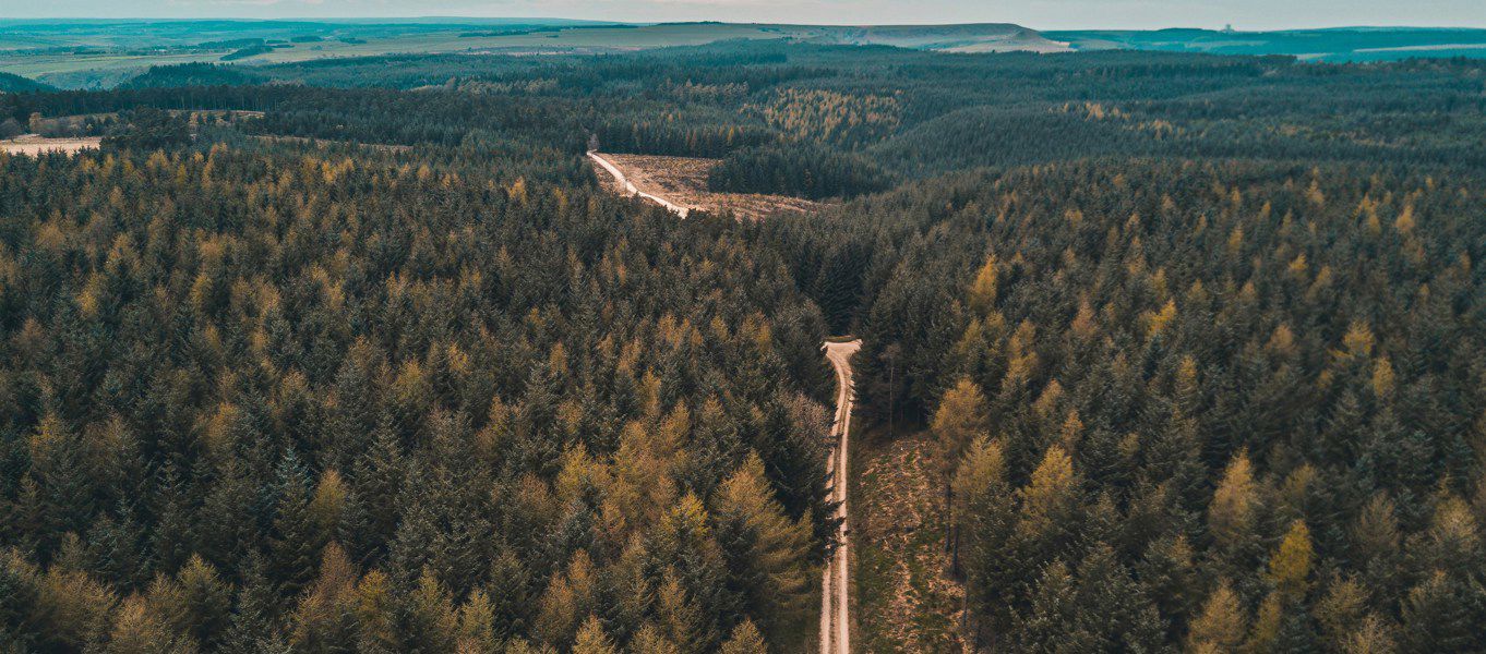Campsites Near Dalby Forest