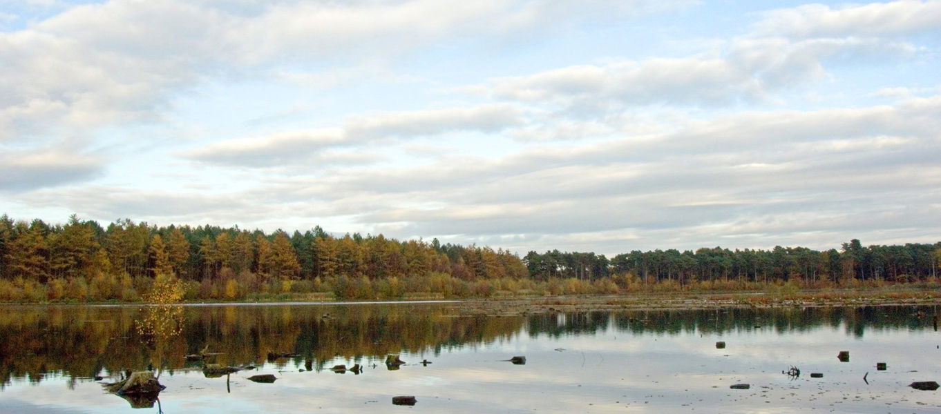 Campsites Near Delamere Forest