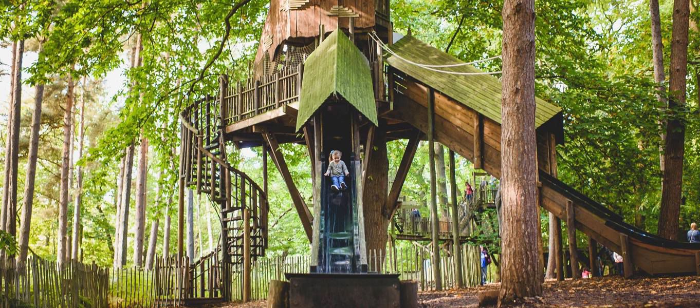 Campsites near Bewilderwood