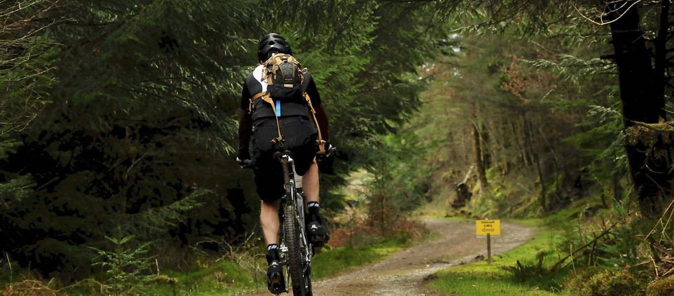 coed y brenin forest park mtb