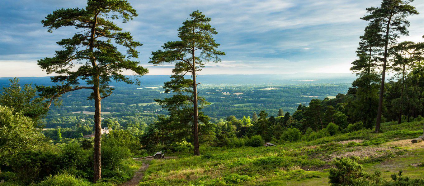 Campsites Near Leith Hill