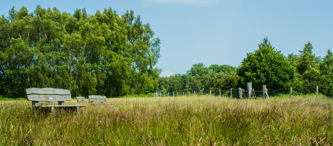 Campsites Near Ashdown Forest In Sussex 70 Top Camping Sites