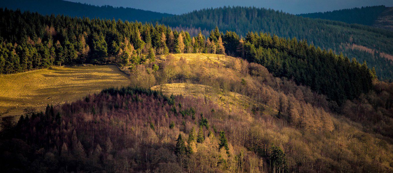 snowdonia mtb challenge