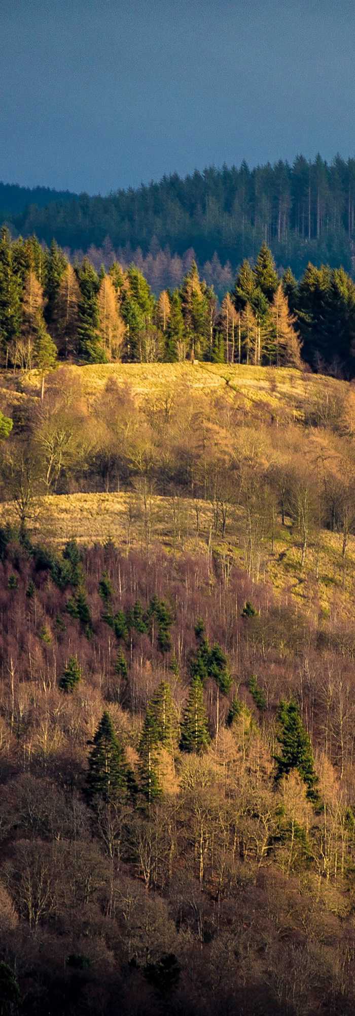 camping near glentress