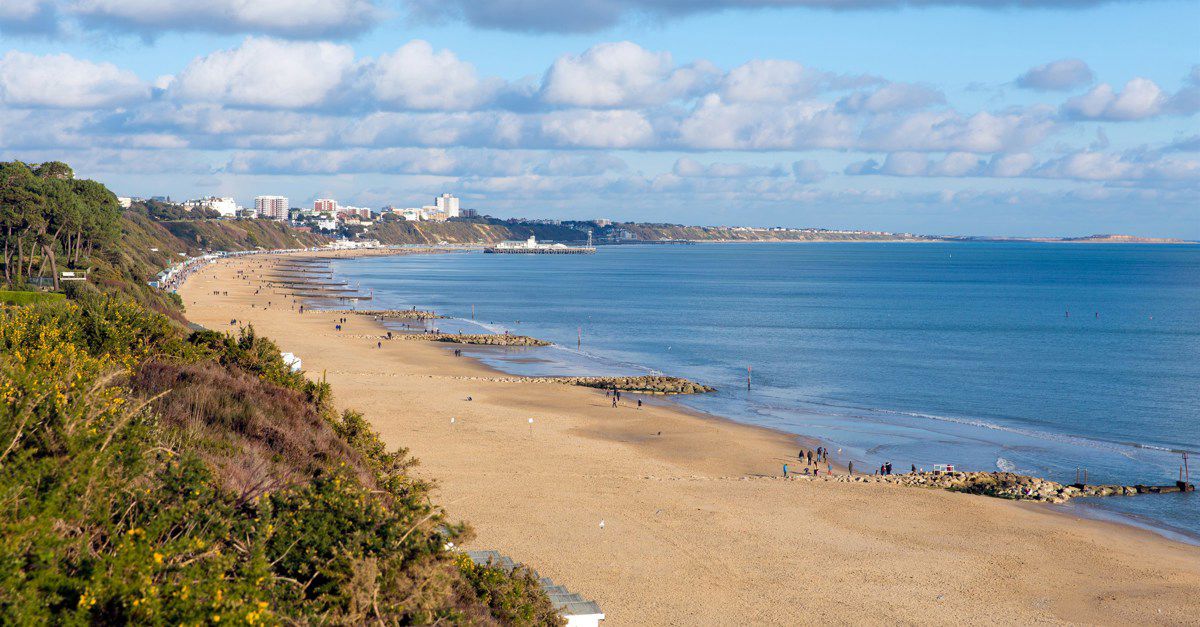 is branksome beach dog friendly