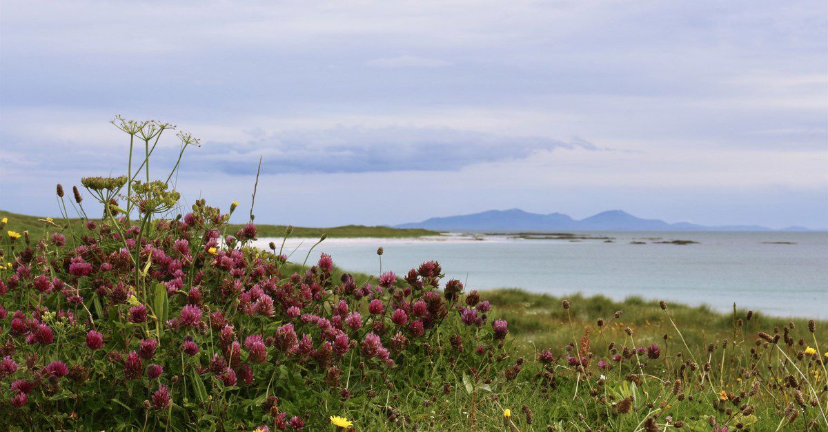 15+ campsites near Balranald Hebridean Nature Reserve, Outer Hebrides