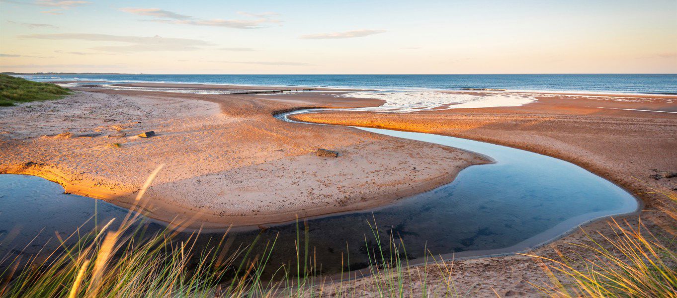 Campsites Near Druridge Bay