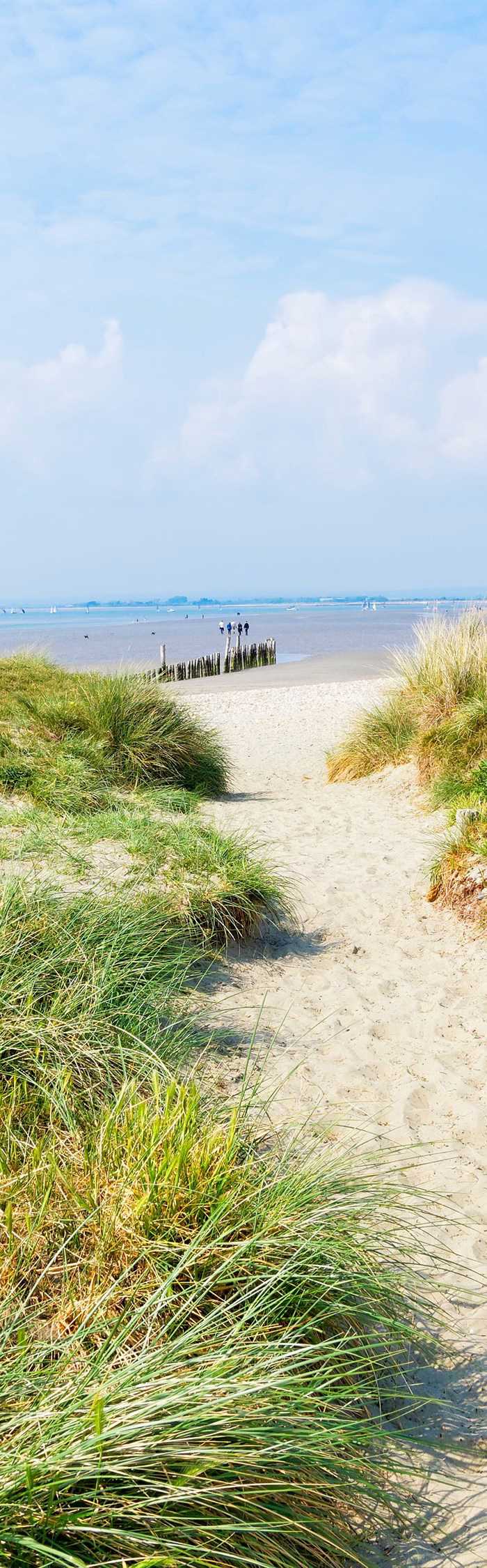 60-campsites-near-west-wittering-beach-west-sussex