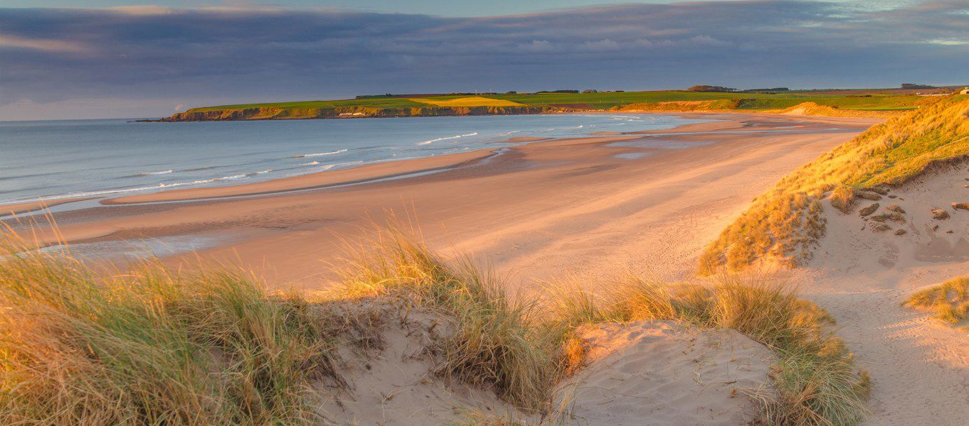 5 Campsites Near Lunan Bay Dundee And Angus