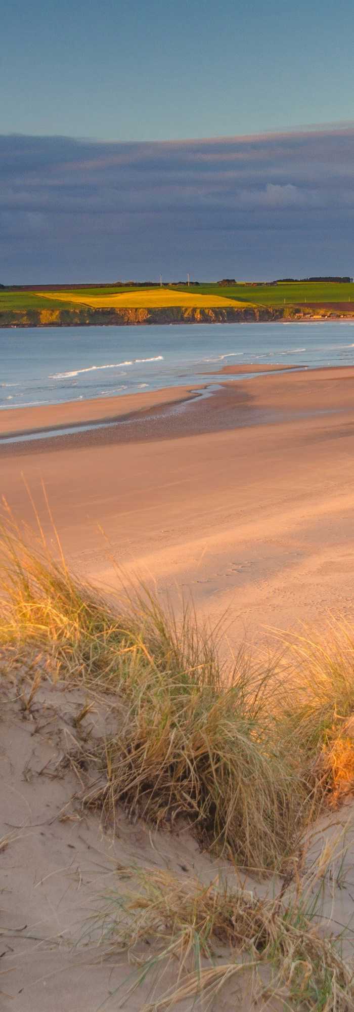 Campsites Near Lunan Bay