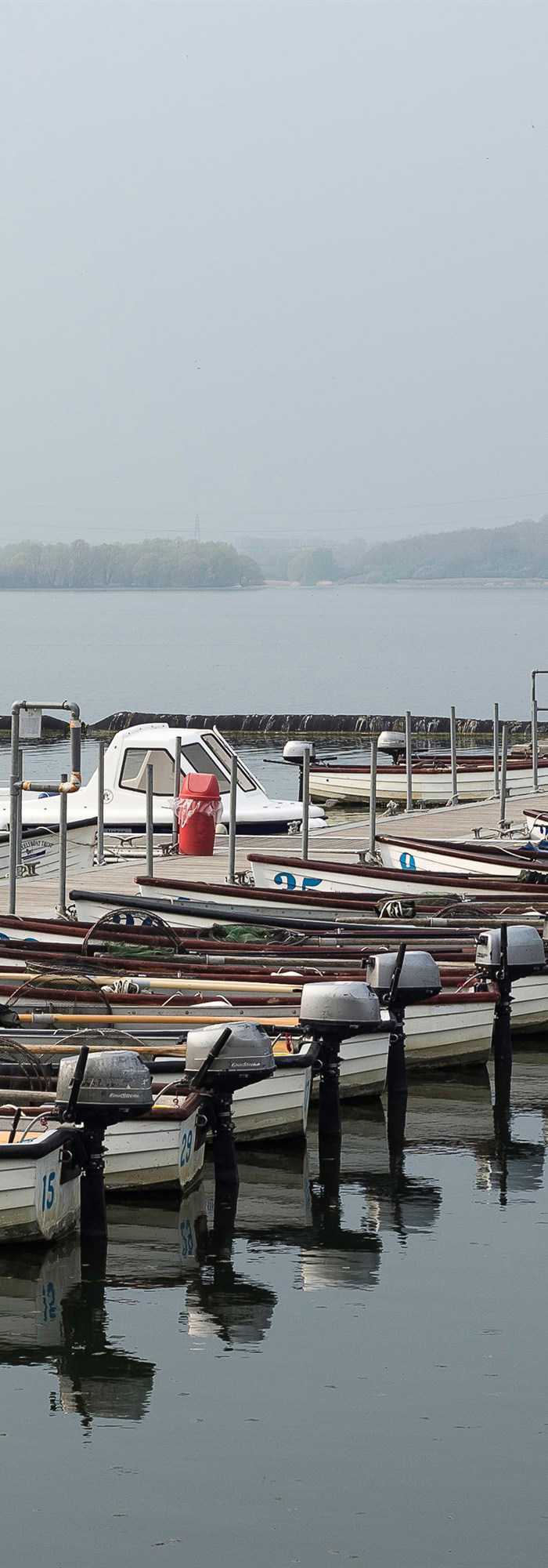 Campsites Near Grafham Water