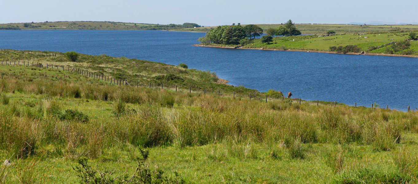 Campsites Near Colliford Lake