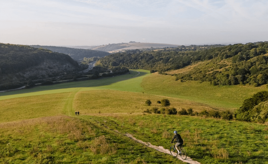 15+ campsites near Queen Elizabeth Country Park, Hampshire