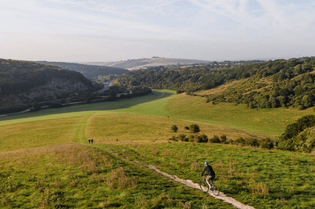 15+ campsites near Queen Elizabeth Country Park, Hampshire