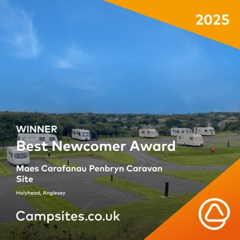 Best Newcomer Award winner badge