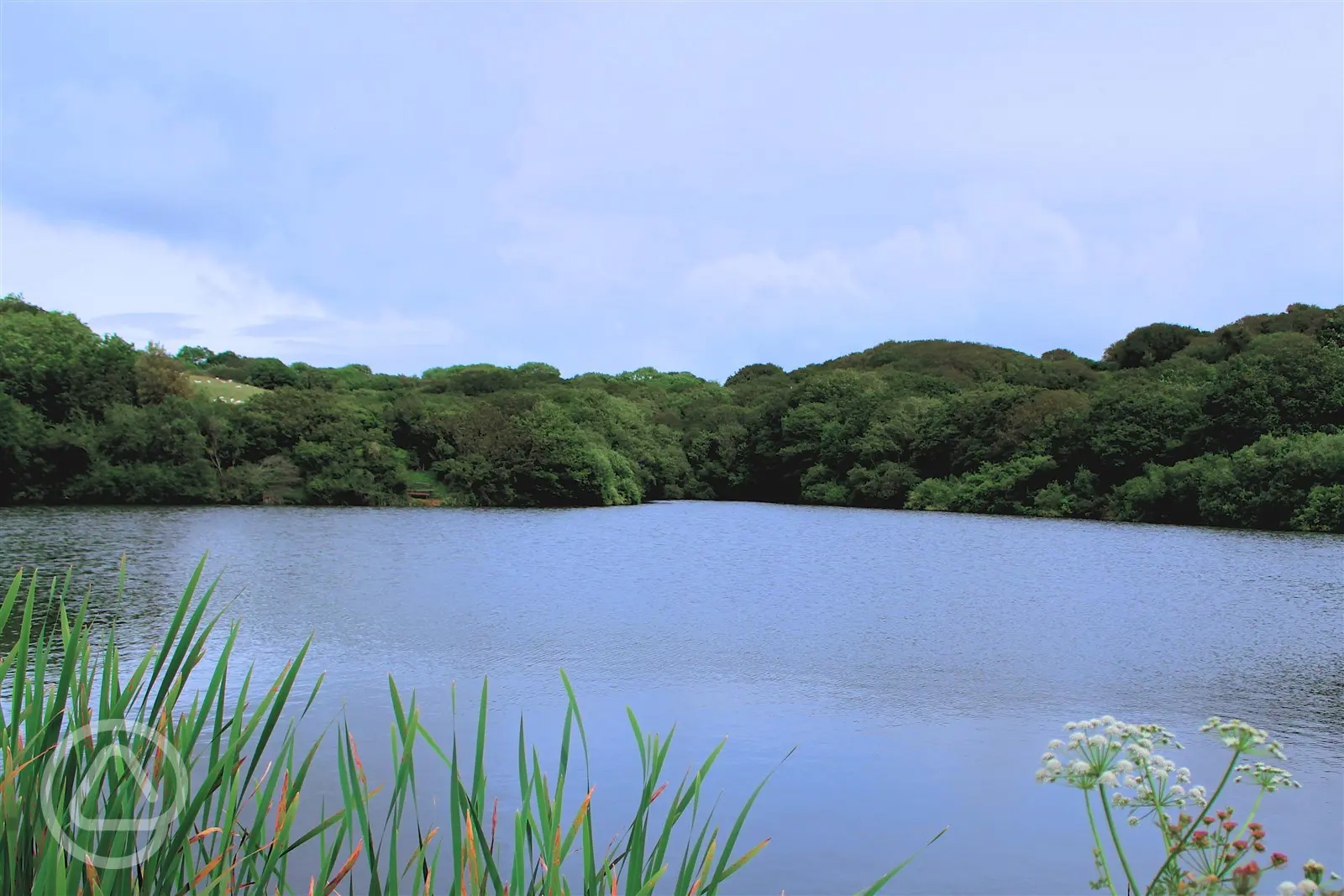 Shear Barn Holidays and Touring in Hastings, East Sussex