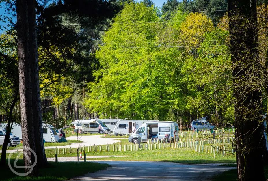 Sherwood Pines Campsite in Nottingham, Nottinghamshire book online now