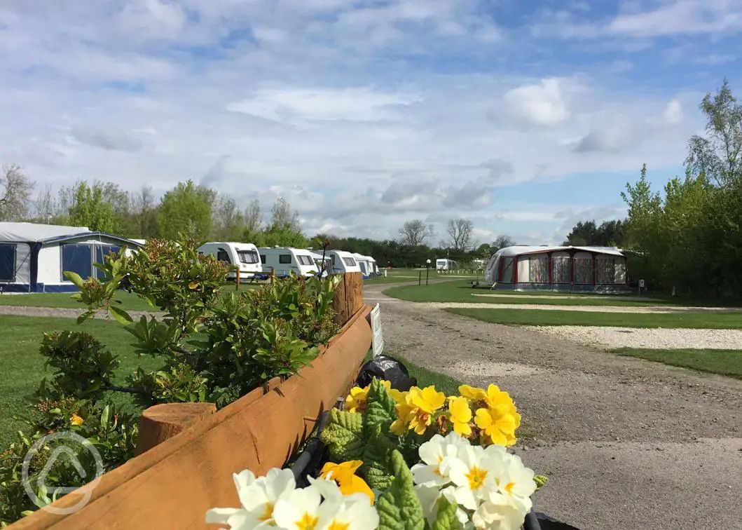 35+ York campsites the best camping sites near York