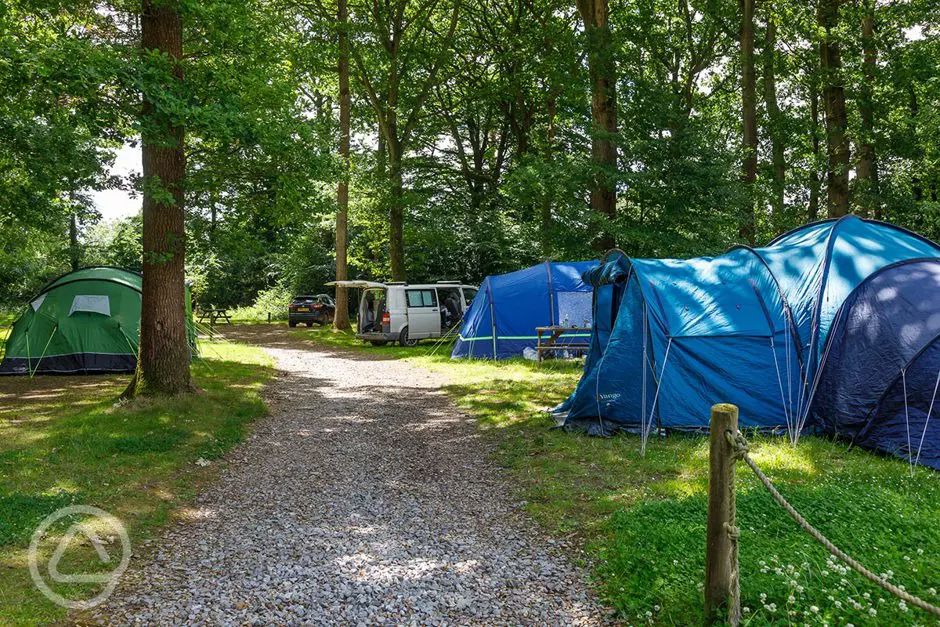 Alpine Grove Touring Park in Chard, Somerset book online now