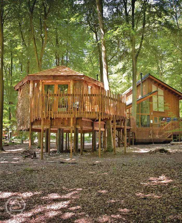 Thorpe Forest Lodges in Thetford, Norfolk