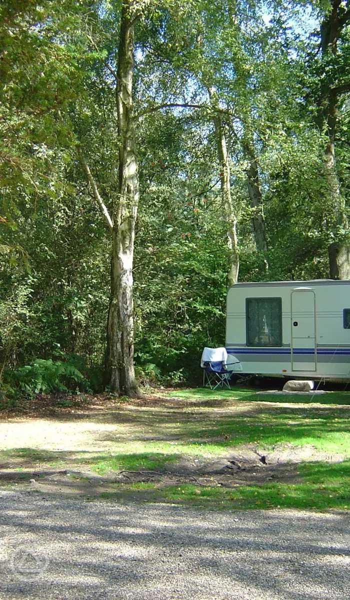 Wellington Country Park in Reading, Berkshire