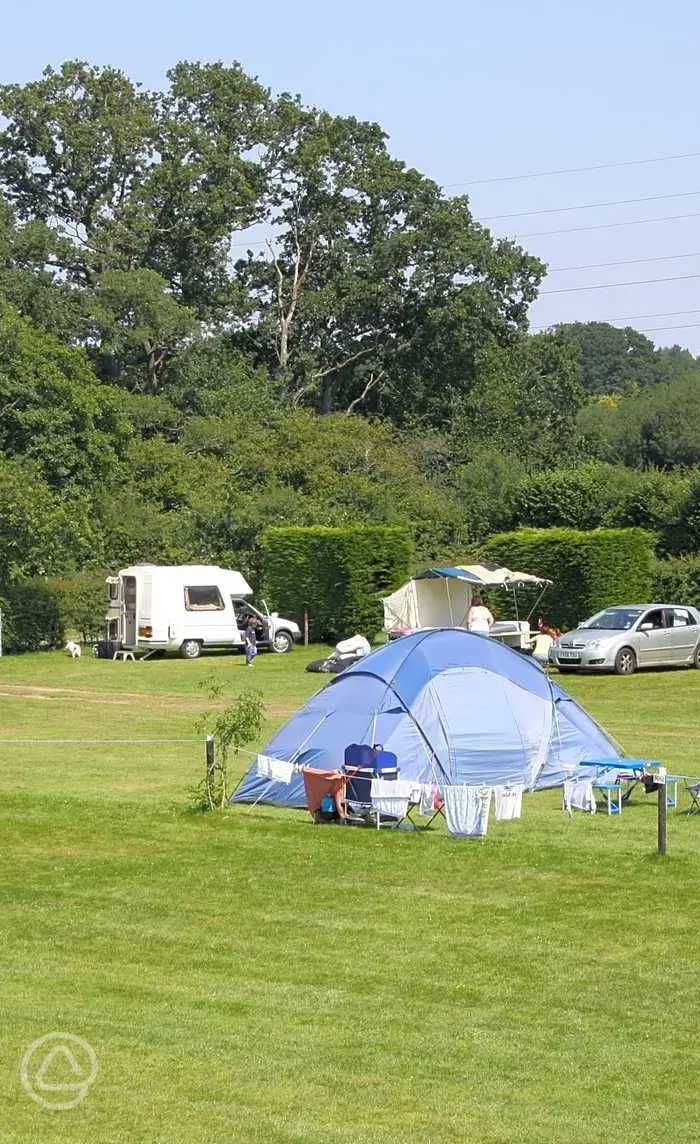 St Leonards Farm Caravan and Camping Park in Ferndown, Dorset book