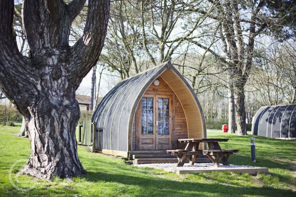 Glamping pods and camping pods in Dorset - 8 sites