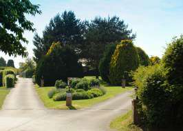 Adults Only Dog Friendly Campsites Devon And Cornwall Adults Only Dog Friendly Campsites Devon And Cornwall