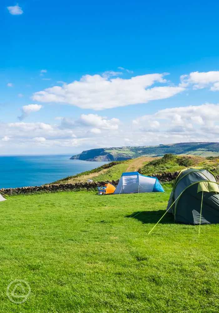 Bay Ness Farm in Whitby, North Yorkshire book online now