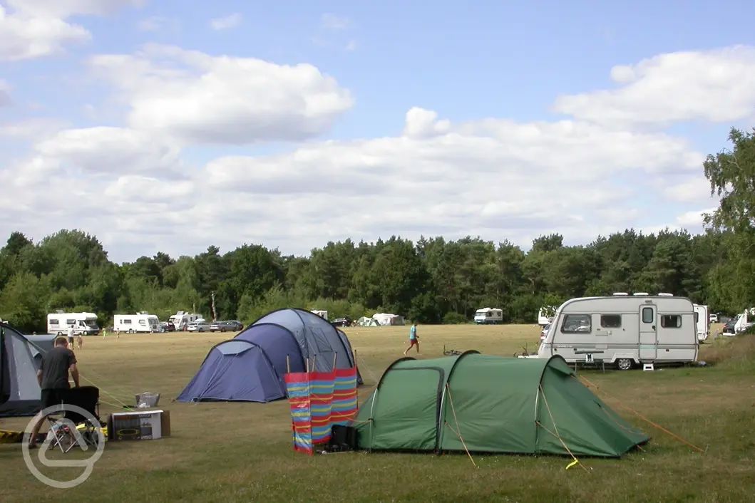 15 Campsites In Surrey Best Sites For Camping In Surrey 15-campsites-in-surrey-best-sites-for-camping-in-surrey