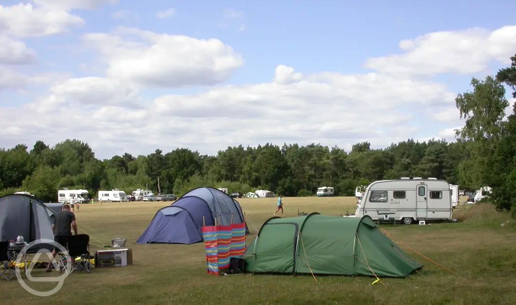 Basingstoke Canal Centre Campsite in Mytchett, Surrey