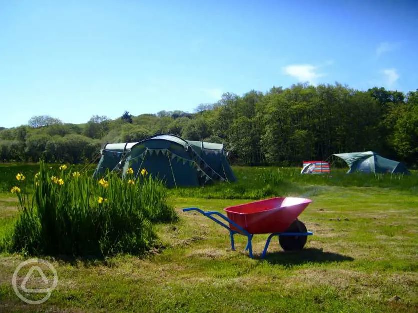 The Meadows in St Austell, Cornwall