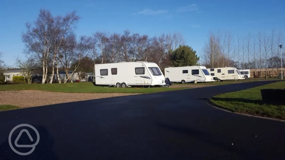 Me Not in Longhorsley, Northumberland