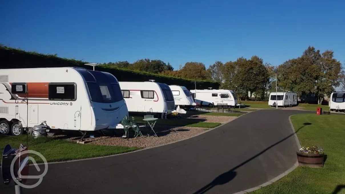 Me Not in Longhorsley, Northumberland