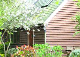 Holiday Lodges In The New Forest