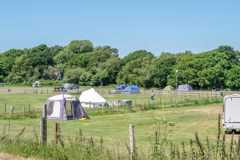 Norden Farm Campsite in Wareham, Dorset - book online now