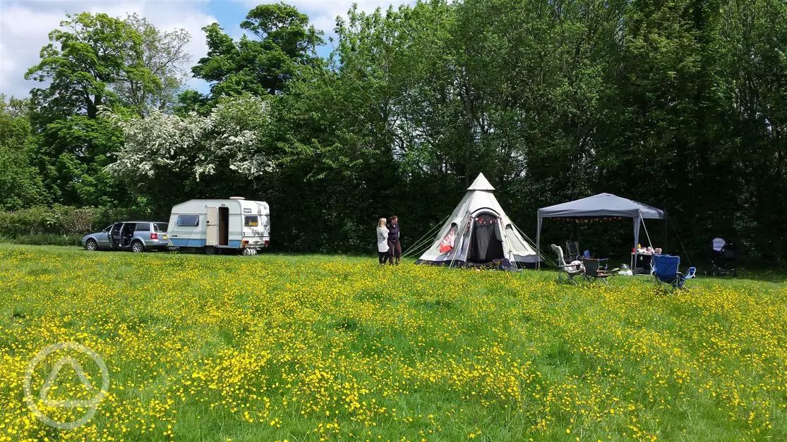 Dunn Street Farm reviews