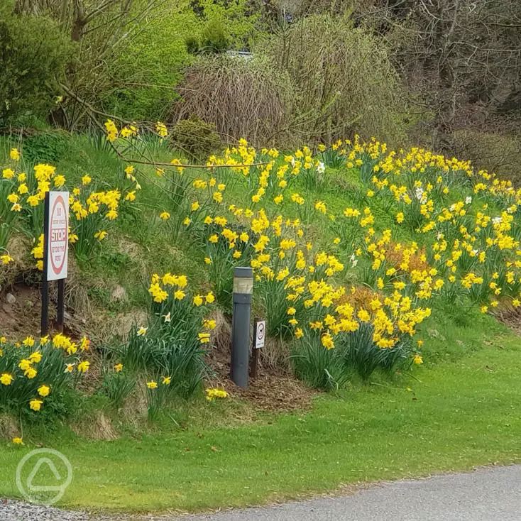 Feughside Caravan Park in Banchory, Aberdeenshire
