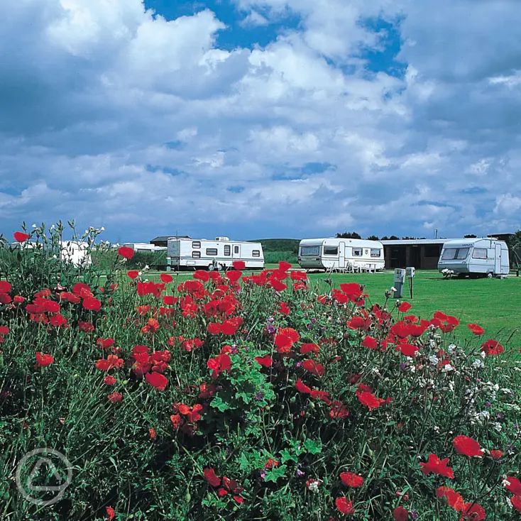 Woodhill Park in East Runton, Norfolk