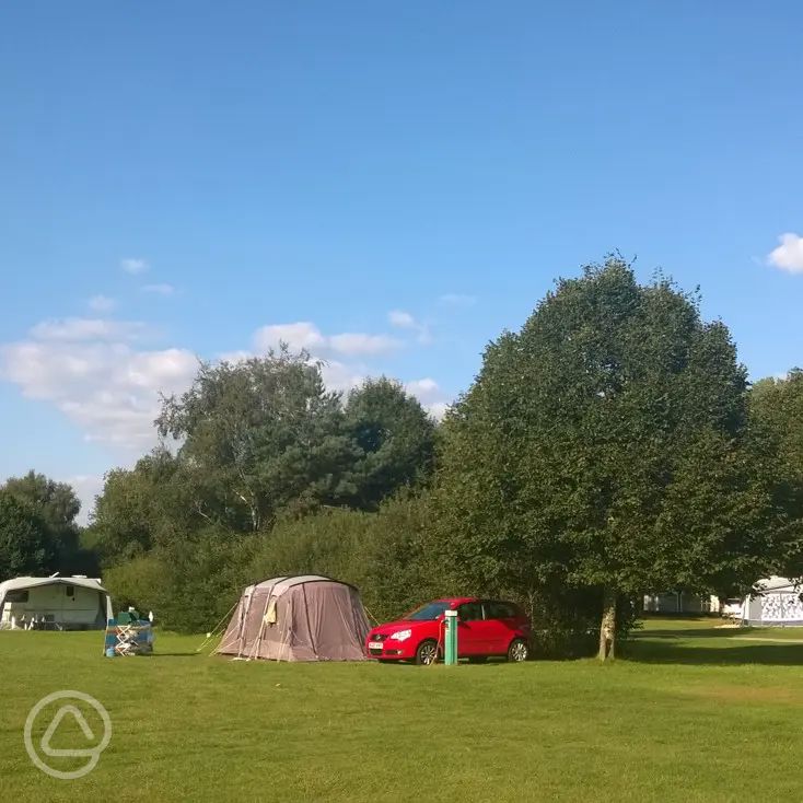 Birchwood Tourist Park in Wareham, Dorset