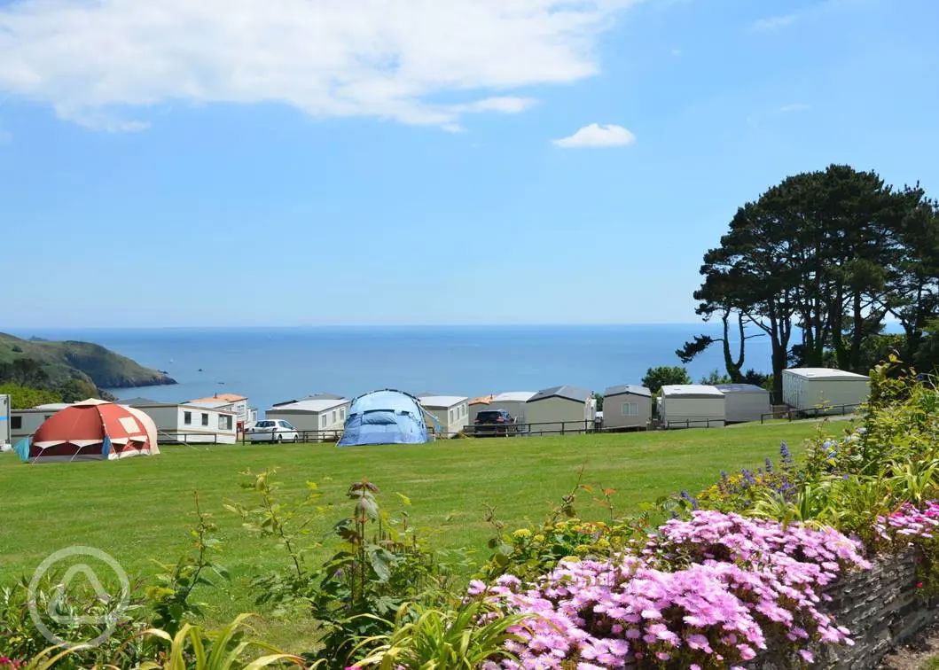 Campsites near Blackpool Sands