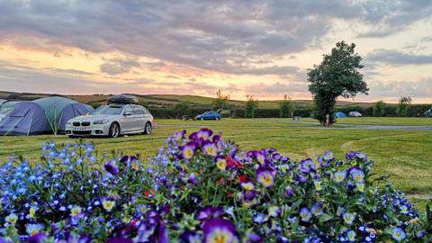 cherrytree farm campsite