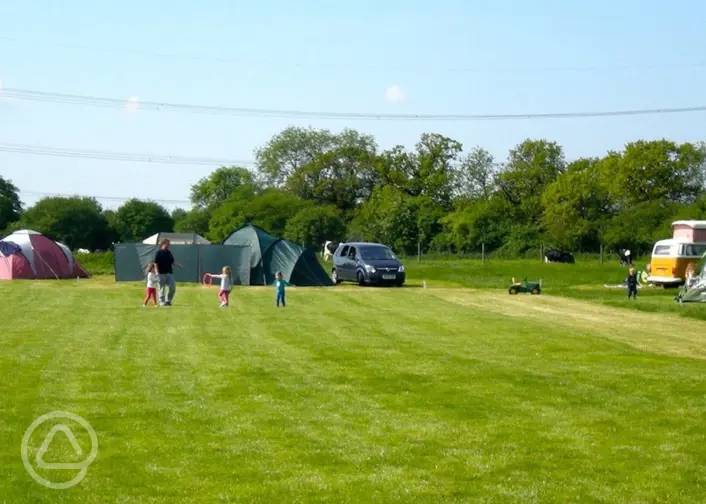 50 Campsites In The New Forest The Parks Best Camping Sites