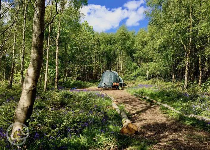 The best campsites in Sussex the top 10 Sussex camping sites