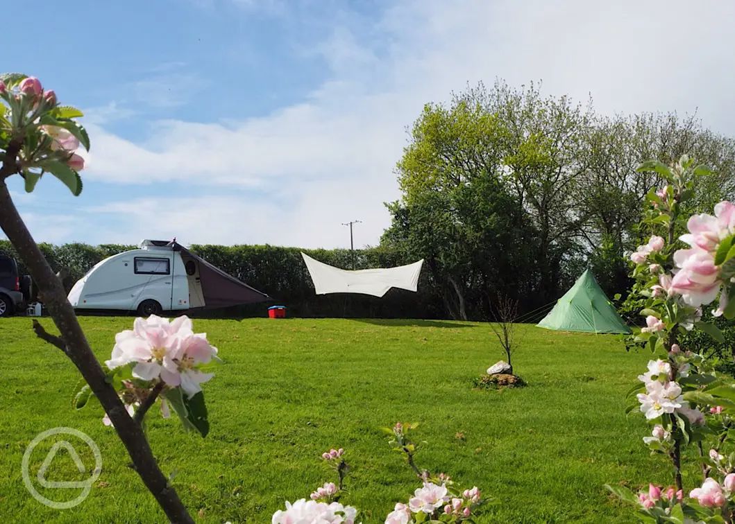 Naturist campsites in South West England