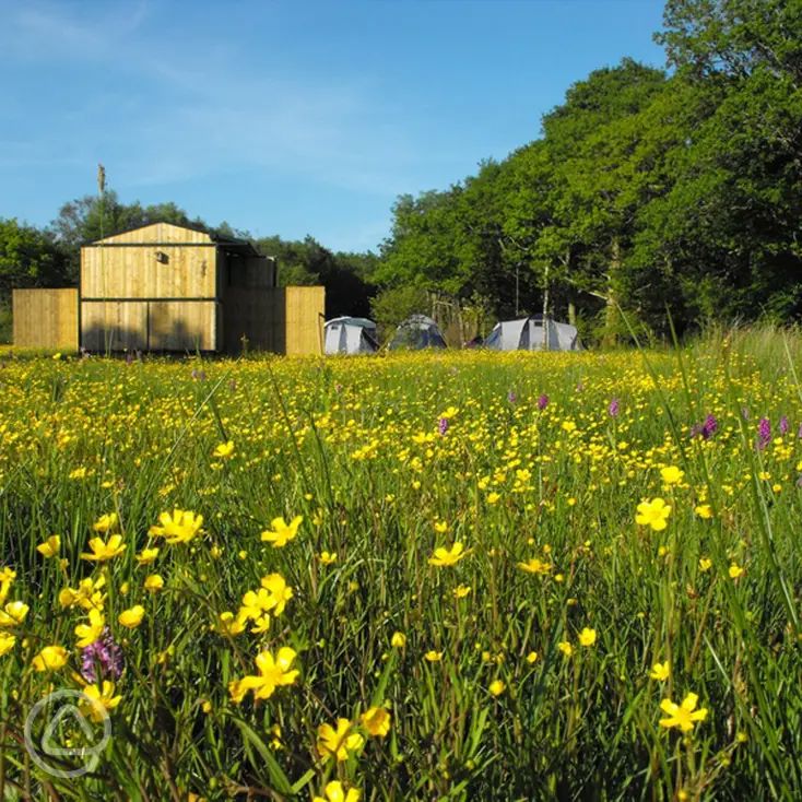 Hole Station Campsite in Beaworthy, Devon book online now