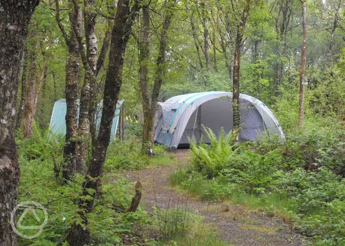 Adult Only Campsites In Devon And Cornwall 1315