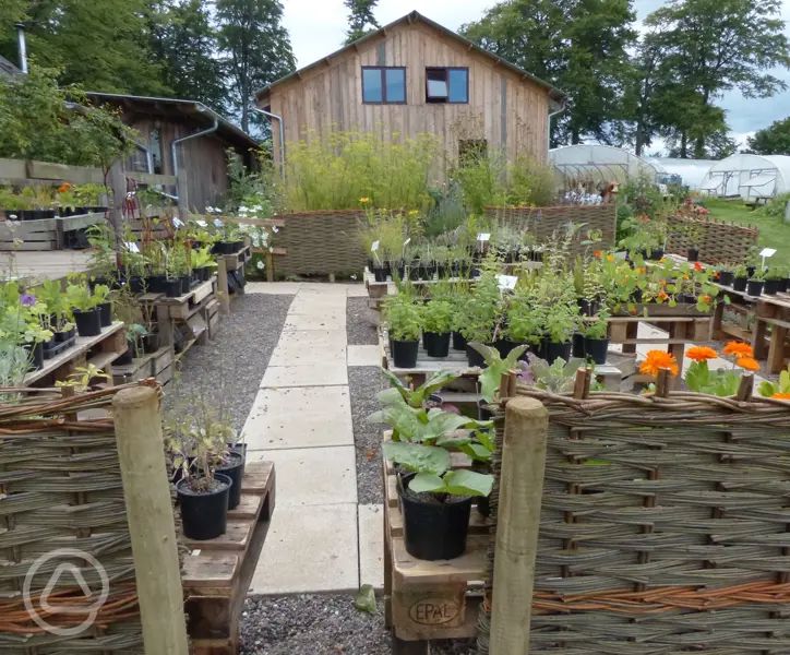 Pillars of Hercules Organic Farm in Falkland, Fife